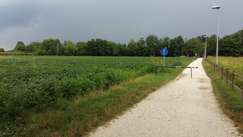 13775432_608306076013888_400698745665988288_n