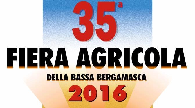 TREVIGLIO CITTA’ CHE SI MUOVE: LE NOSTRE PROPOSTE