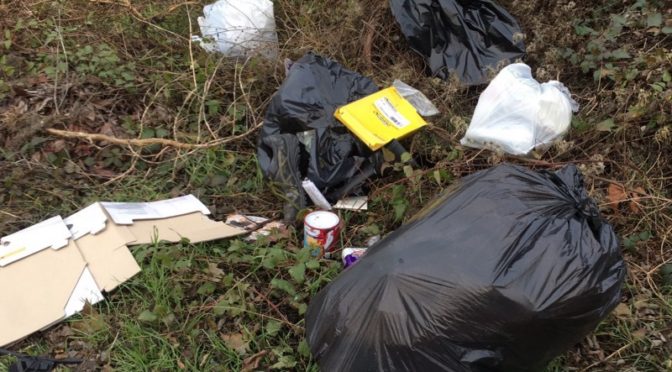 L’appello del comune contro l’abbandono dei rifiuti