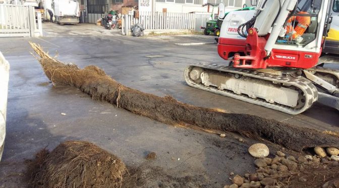 VIA ALDO MORO: IN CORSO LA MANUTENZIONE E PULIZIA DELLE CADITOIE