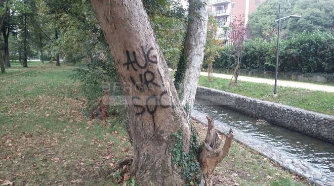 ALBERI IMBRATTATI: BASTA FACILE BUONISMO!