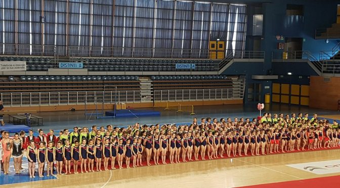 “LE STAR DEL POP”. IL SAGGIO DELLA TREVICASS