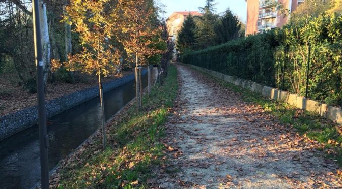 VALORIZZAZIONE DEL PARCO DEL MAGLIO