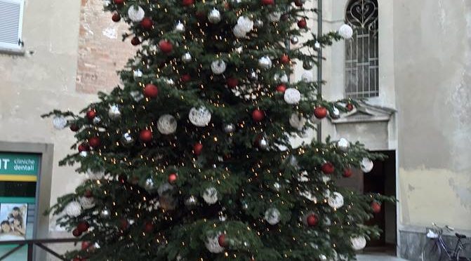 SI ACCENDONO LE LUCI DELL’ALBERO DI NATALE E DELLA TORRE CIVICA