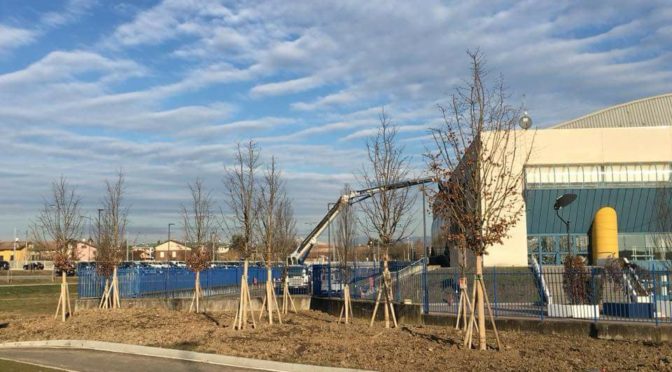 DUE NUOVE AREE VERDI DAVANTI AL PALAFACCHETTI